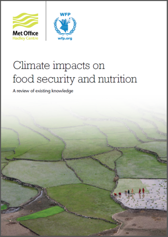 Climate Impacts On Food Security And Nutrition: A Review Of Existing ...